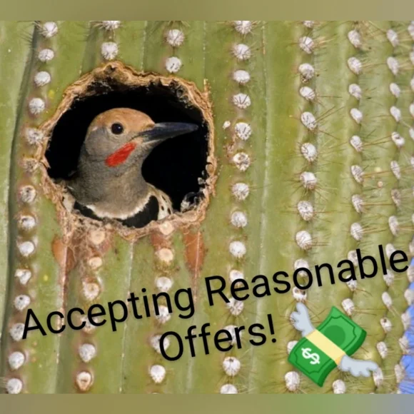 🆕 RAG & BONE "NICO" BULL PINK REVOLVE JEAN JACKET - Picture 13 of 13